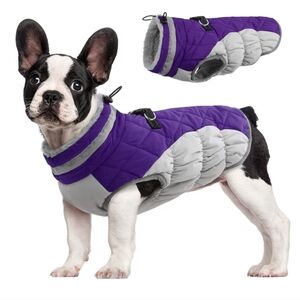 Purple and Gray Dog Jacket Medium NWOT